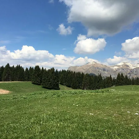 Le Molade *