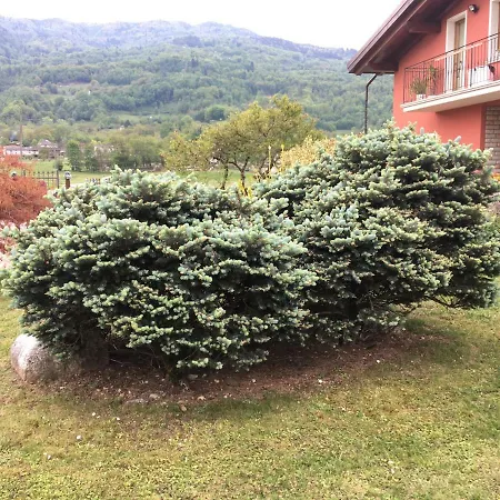 Bed & Breakfast Le Molade