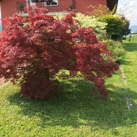 Le Molade Ronchena